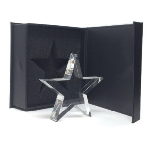 Trophée étoile sans socle