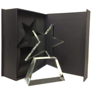 trophée forme d’étoile asymétrique. Cette étoile est posée sur un socle trapézoïde ayant une base rectangulaire.