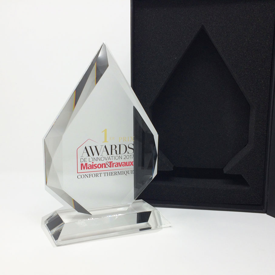 Récompenses en verre Trophées réalistes Prix du gagnant 3D à partir d'un matériau transparent Récompense