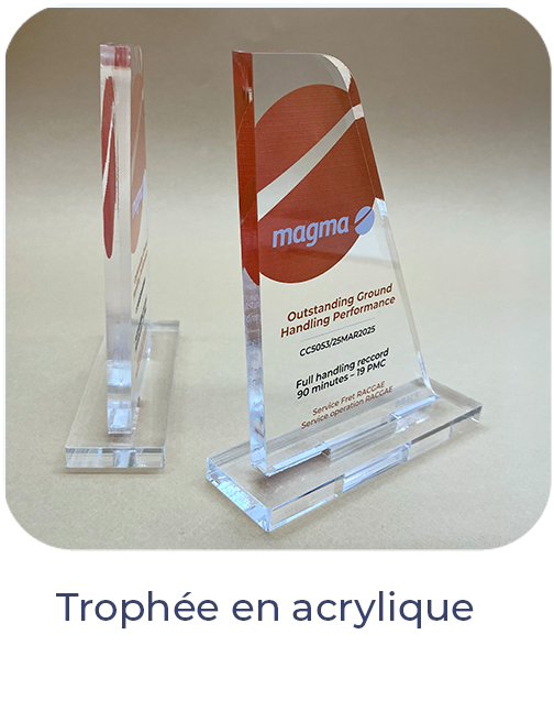 Trophée en acrylique transparent sur mesure logo et text imprimé,és en couleur UV trophées personnalisés